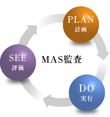 MAS監査